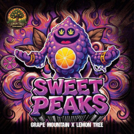 Elev8 Seeds Semillas de marihuana feminizadas Sweet Peaks