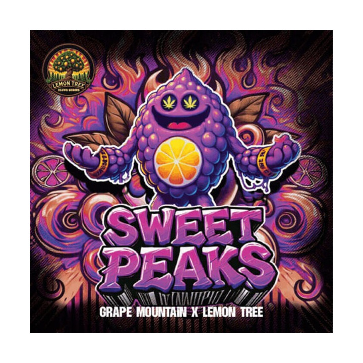 Elev8 Seeds Semillas de marihuana feminizadas Sweet Peaks