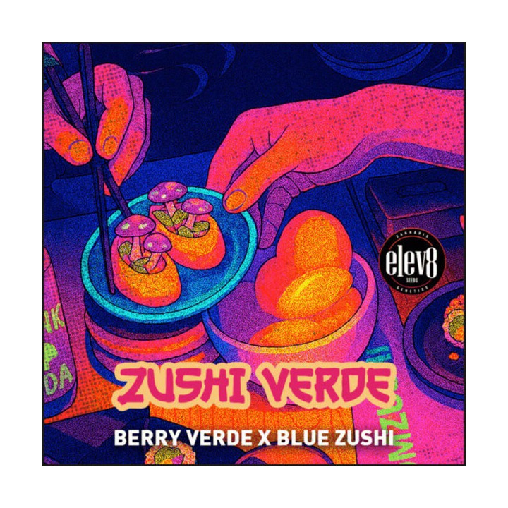 Elev8 Seeds Semillas de marihuana feminizadas Zushi Verde