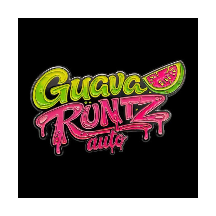 Semillas autoflorecientes de marihuana Guava Runtz Auto de Fast Buds