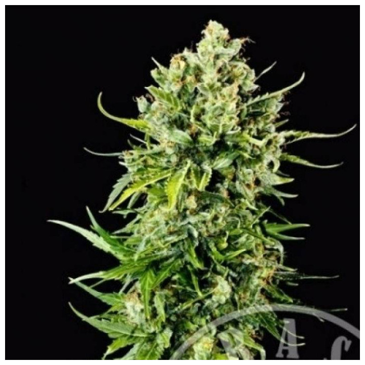 Auto Mass (Grass-o-Matic)