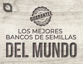 Los mejores bancos de semillas del mundo