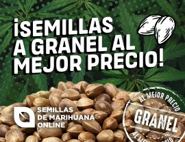 Semillas a granel al mejor precio