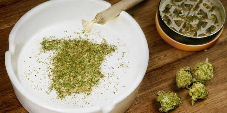 ¿Es legal la marihuana en España? Todo lo que debes saber sobre leyes, consumo y cultivo de cannabis