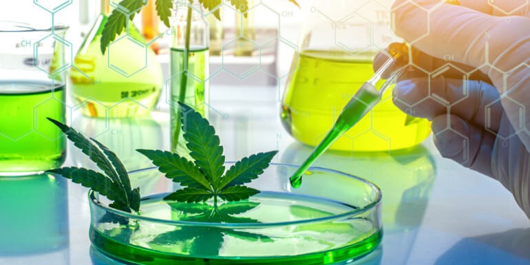 THCP: El nuevo cannabinoide 30 veces más potente que el THC