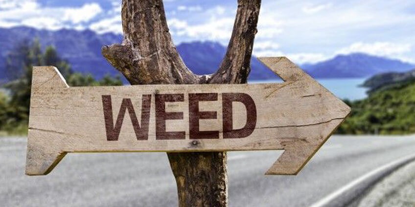 ¿En qué países es legal la marihuana?
