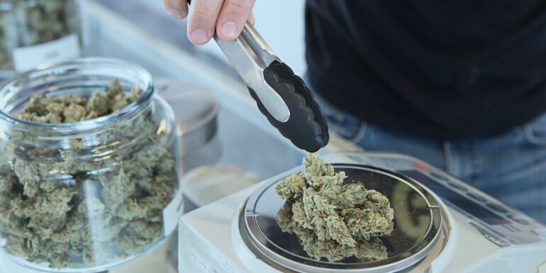 Cannabis medicinal: top 10 semillas que alivian dolor, estrés e insomnio