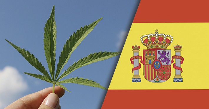 ¿Es legal plantar marihuana en casa?