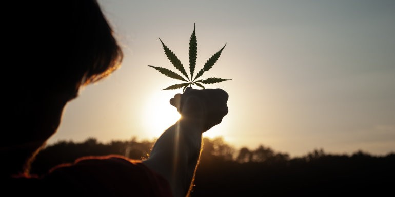 ¿Qué información nos da la hoja de Marihuana? Síntomas y alarmas