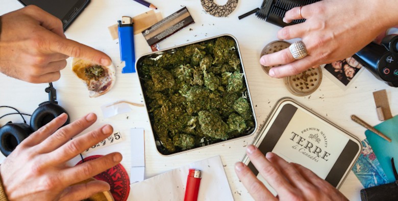 Las 11 semillas de marihuana más populares de 2024