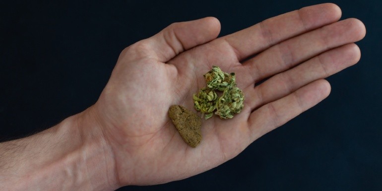 Hachís y marihuana: ¿cuáles son sus diferencias?
