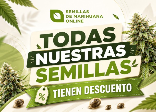 Todas nuestras semillas feminizadas tienen descuento