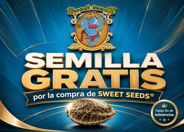 Semilla de Sweet Seeds en todos los pedidos